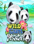 dafabet ถอนเง นช า รีวิวการเล่นที่ไม่ควรพลาด